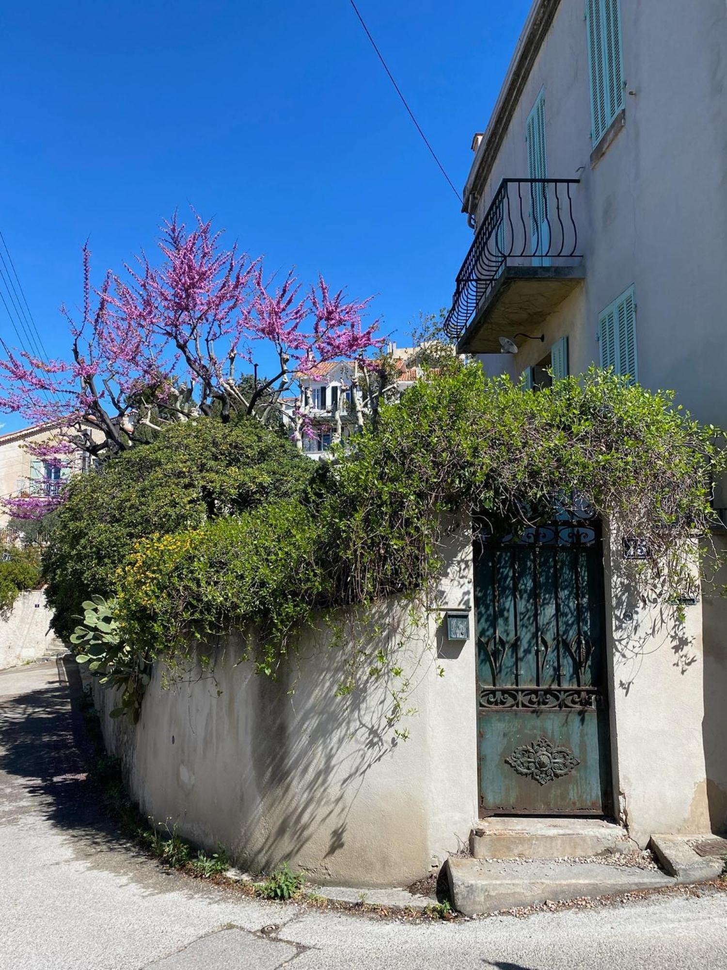 Medje, Sur La Corniche Kennedy Avec Vue Holiday home